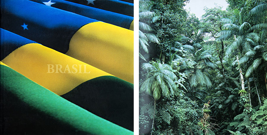 Brasil - Território